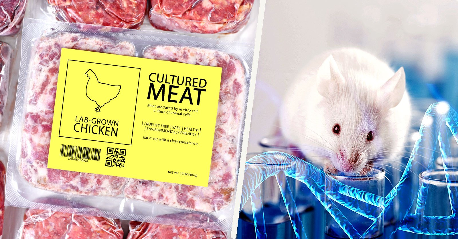 LabGrown Fake ‘Chicken’ — With A Side Of Heavy Metals And Rodent DNA