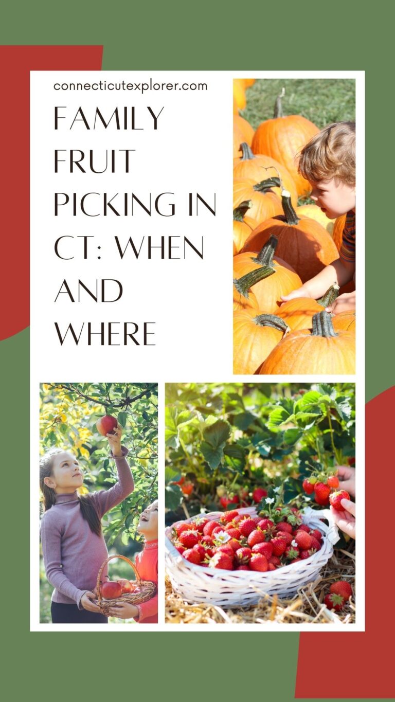 Fruit Picking in Connecticut When is it and Where to go in 2024 The