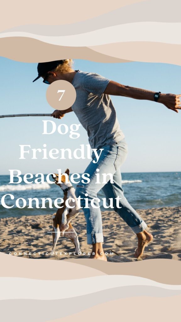 The 7 Most Dogfriendly Beaches in CT The Connecticut Explorer