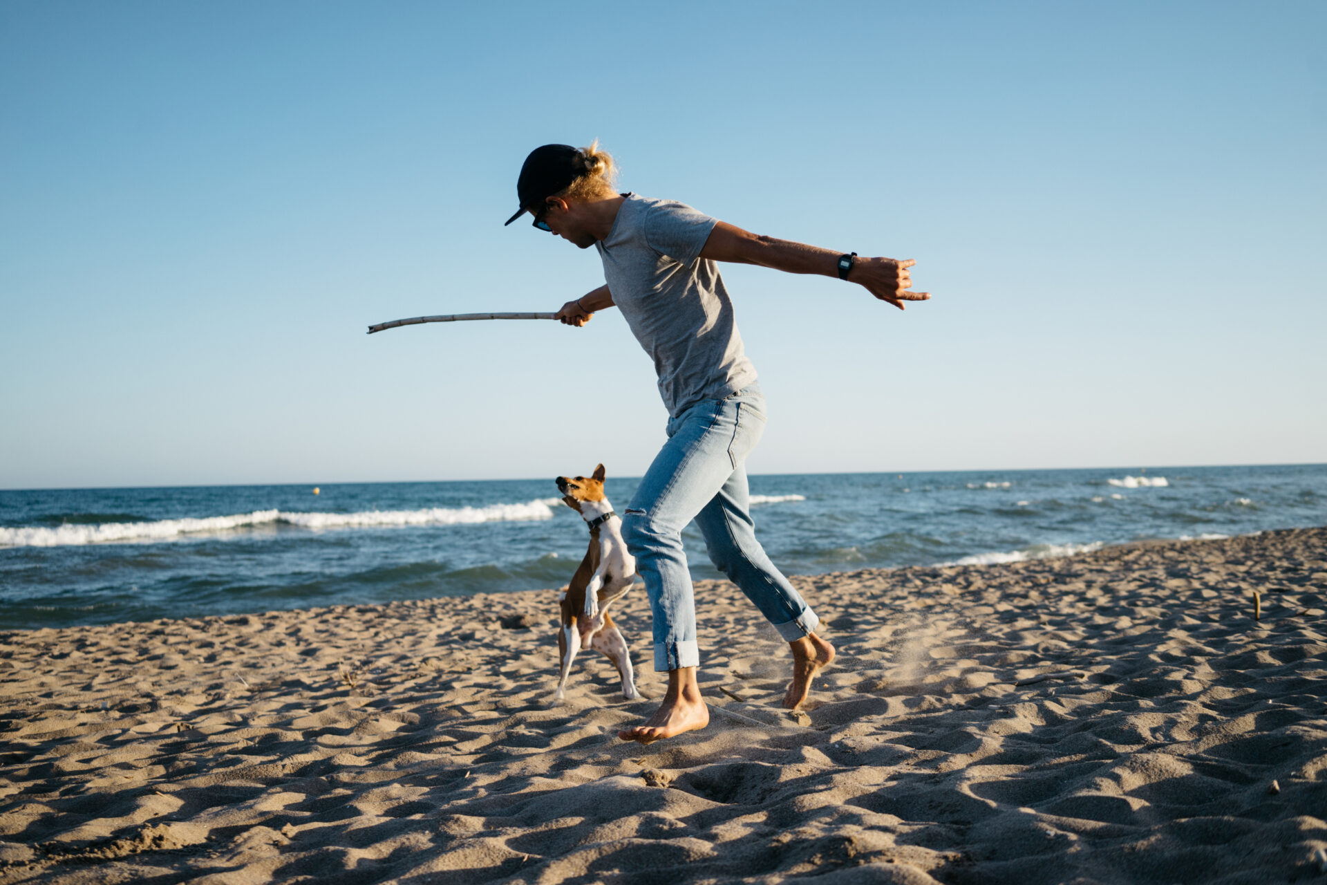 The 7 Most Dogfriendly Beaches in CT The Connecticut Explorer