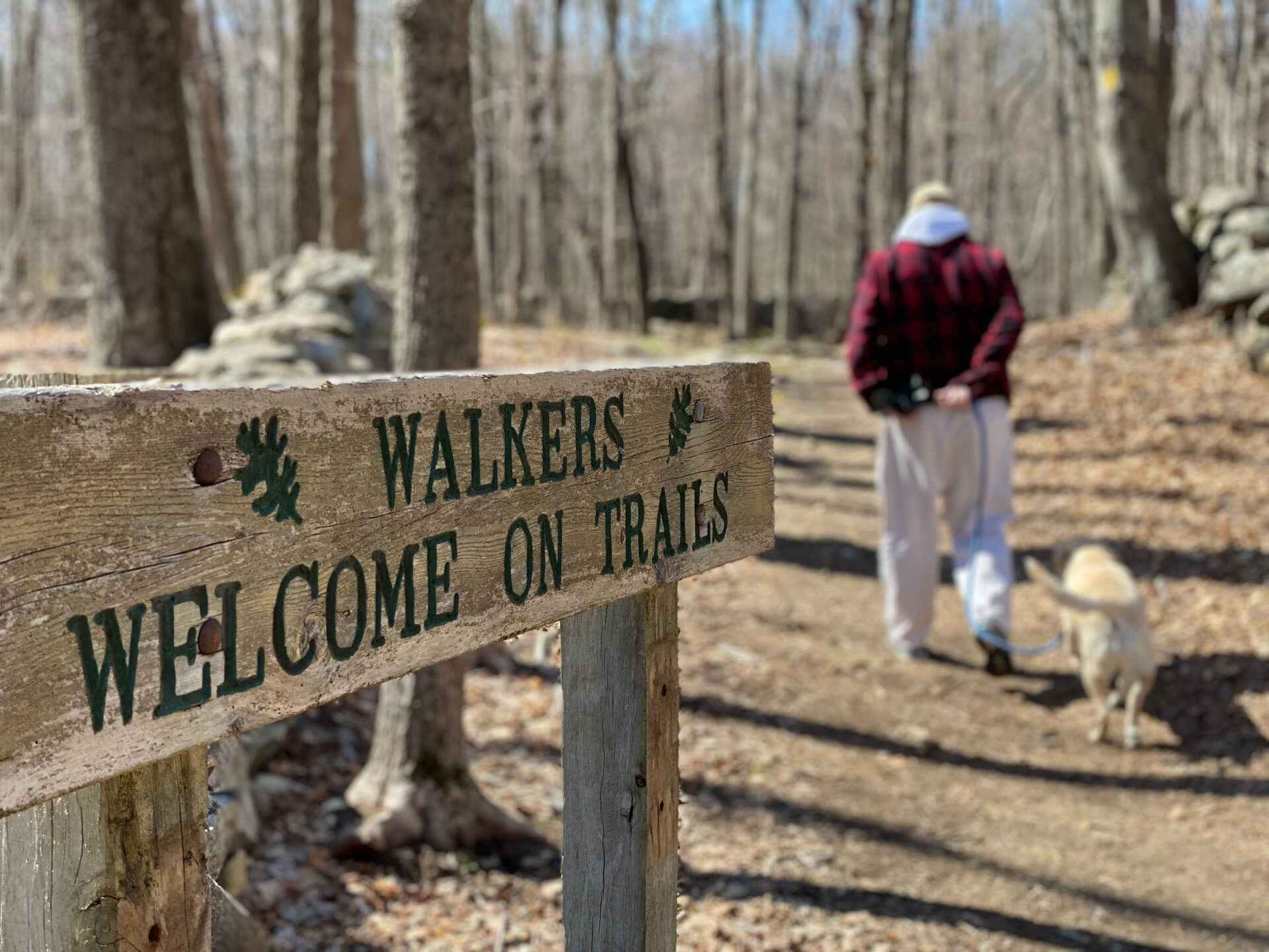 Get Some Exercise with the 20 Best Walking Trails in CT (Paved and