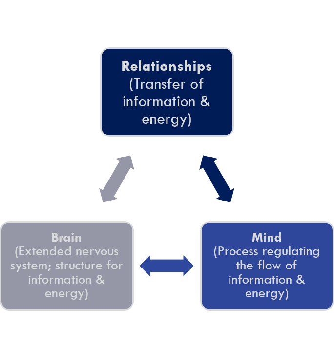 Connecting Paradigms / Biopsychosocial Trauma Paradigm Connecting