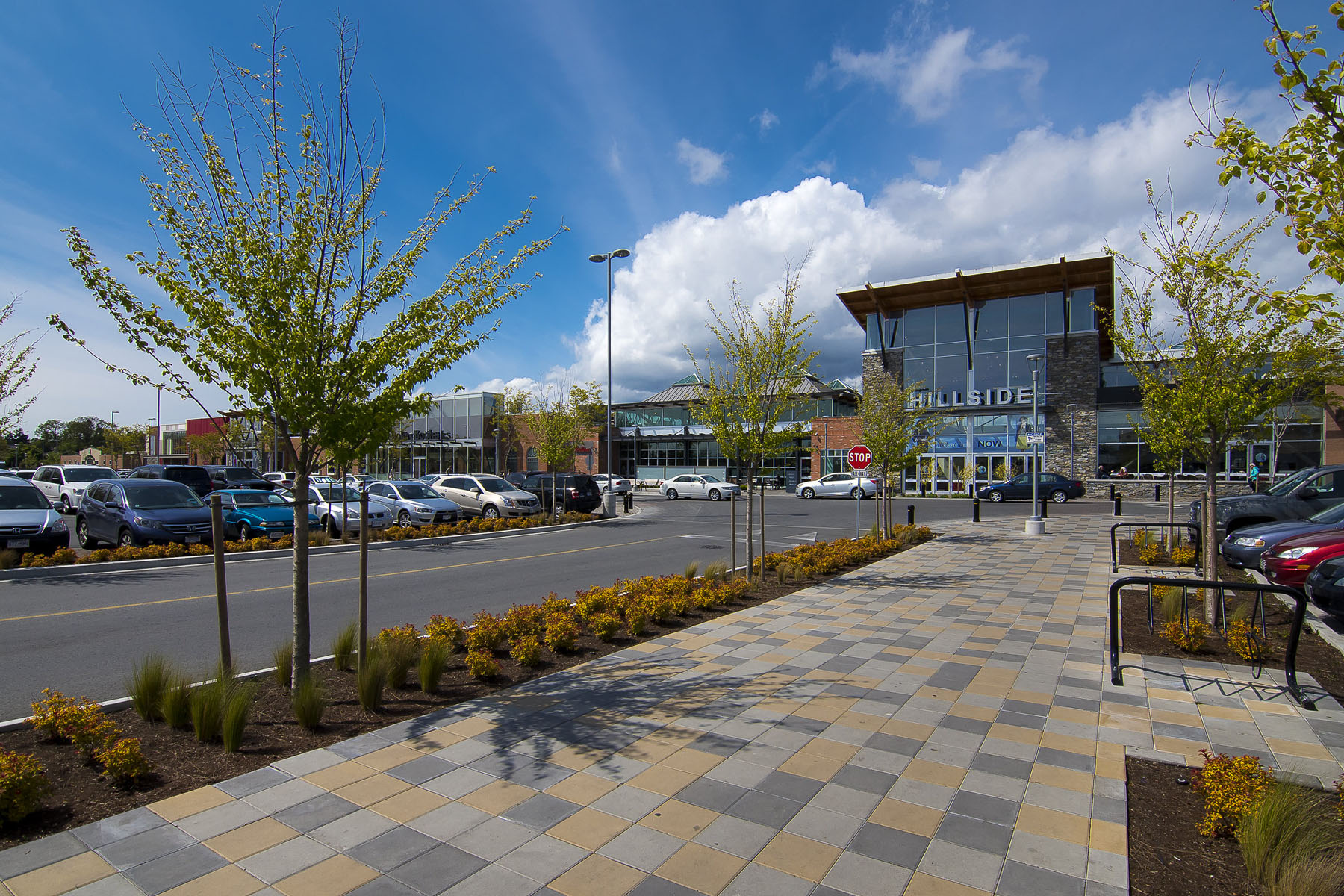 Hillside Mall Renovation Connect Landscape Architecture