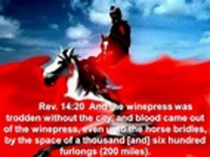 Horse Bridle And They Reaped What They Sow