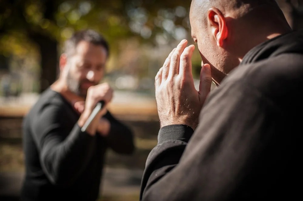 Travel Smart Mastering Basic SelfDefense Techniques for Safer