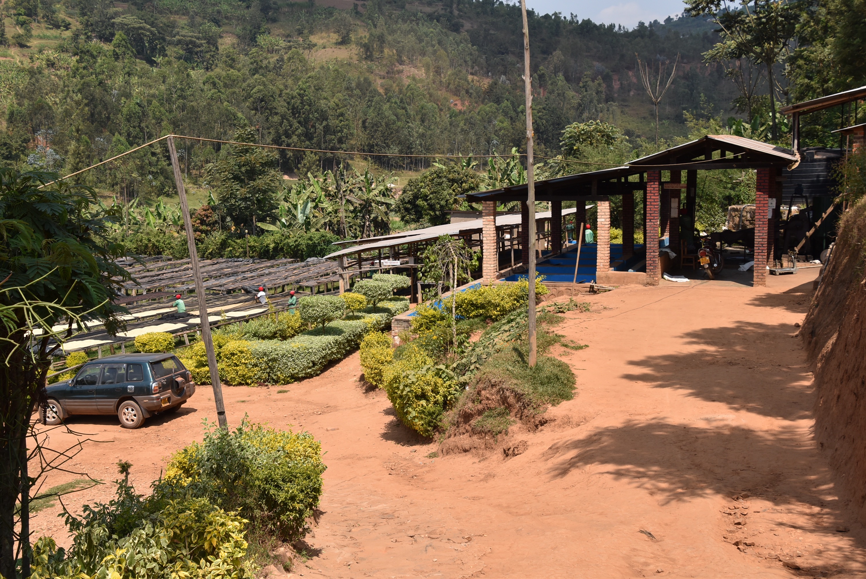 Connect Rwanda Coffee Connect Rwanda