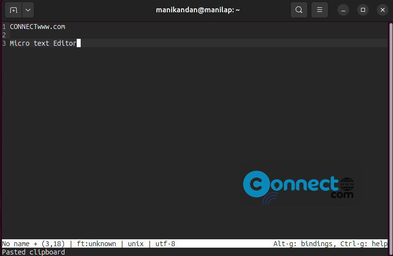 How to install Micro Text Editor on Ubuntu