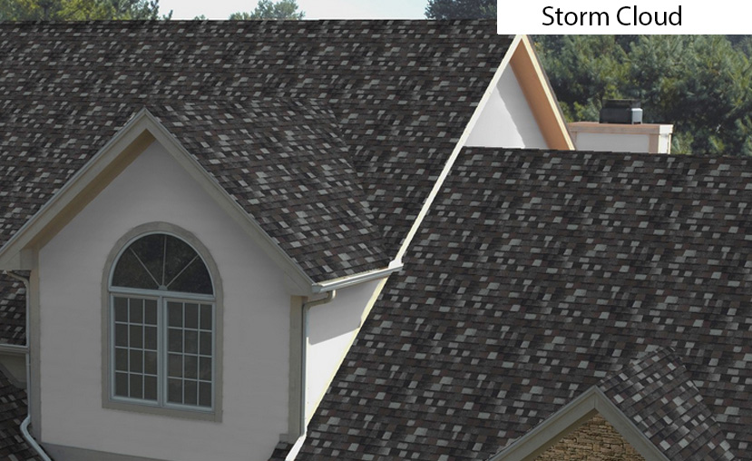 TruDefinition Example Roofs Roofing Company Seattle