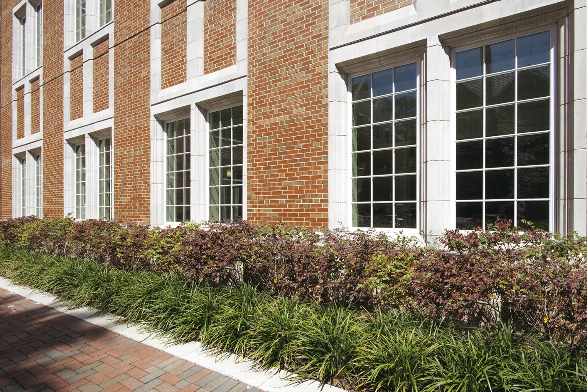 UF Heavener Hall Conner Landscape Architects