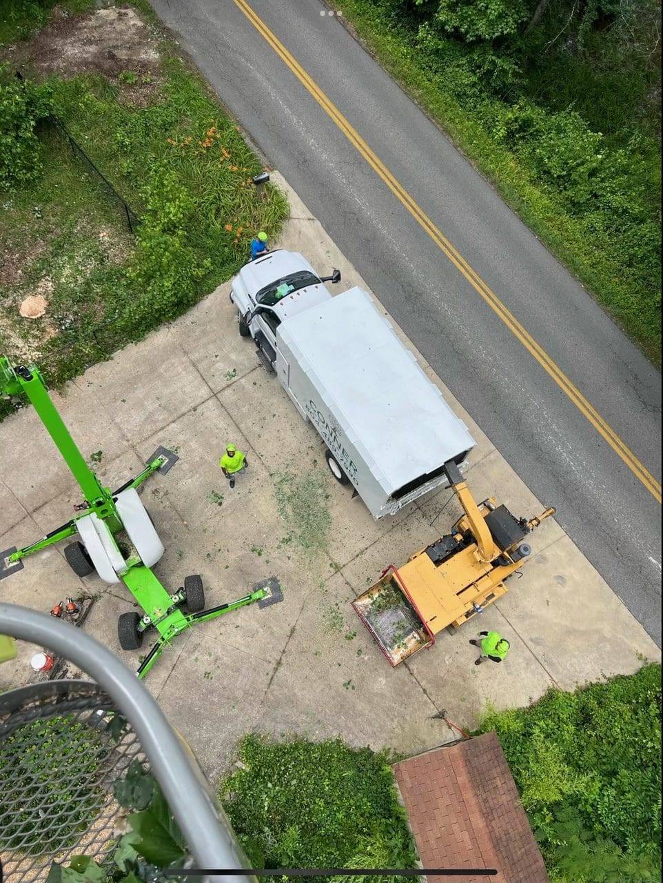 Home Conner Tree Service "Tree Care. Our Specialty."