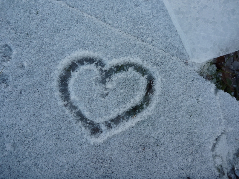 The Frozen Heart Postit Note 127 Grace in the Real