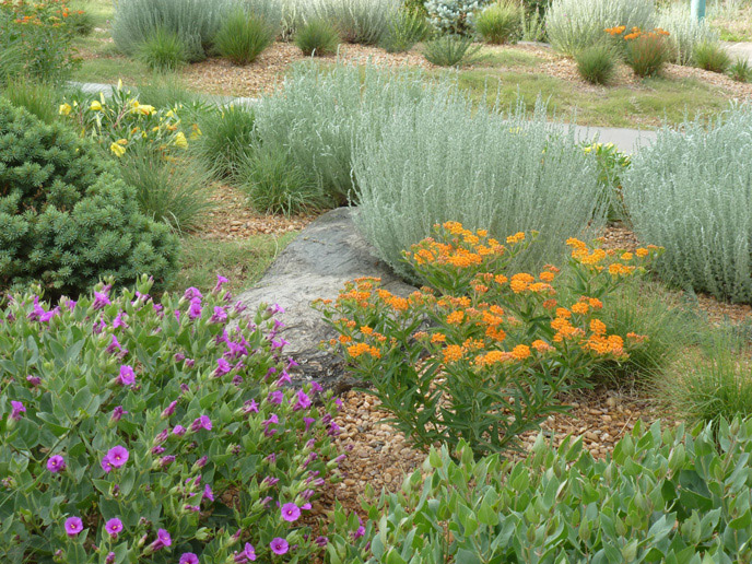 Home Colorado Native Plant Society