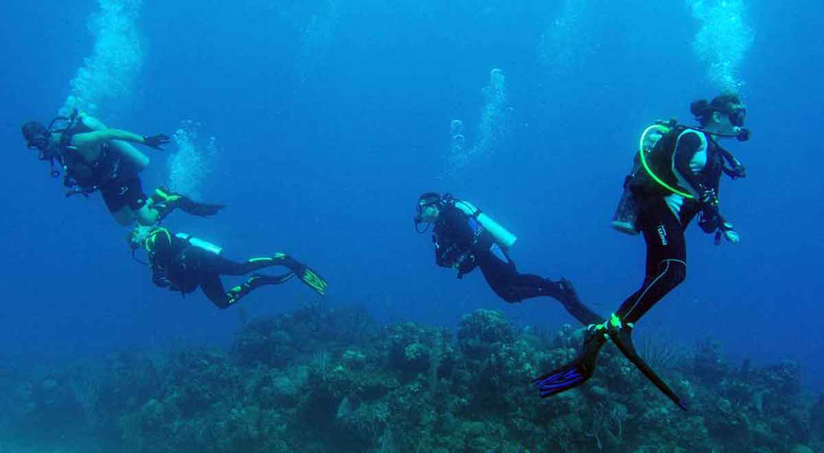 Do You Need a License to Scuba Dive? Conquer The Water