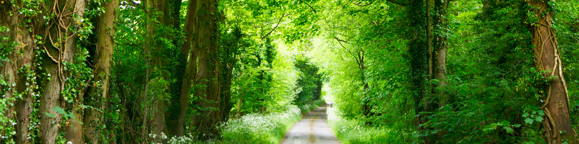 Mon chemin Conscience & Confiance