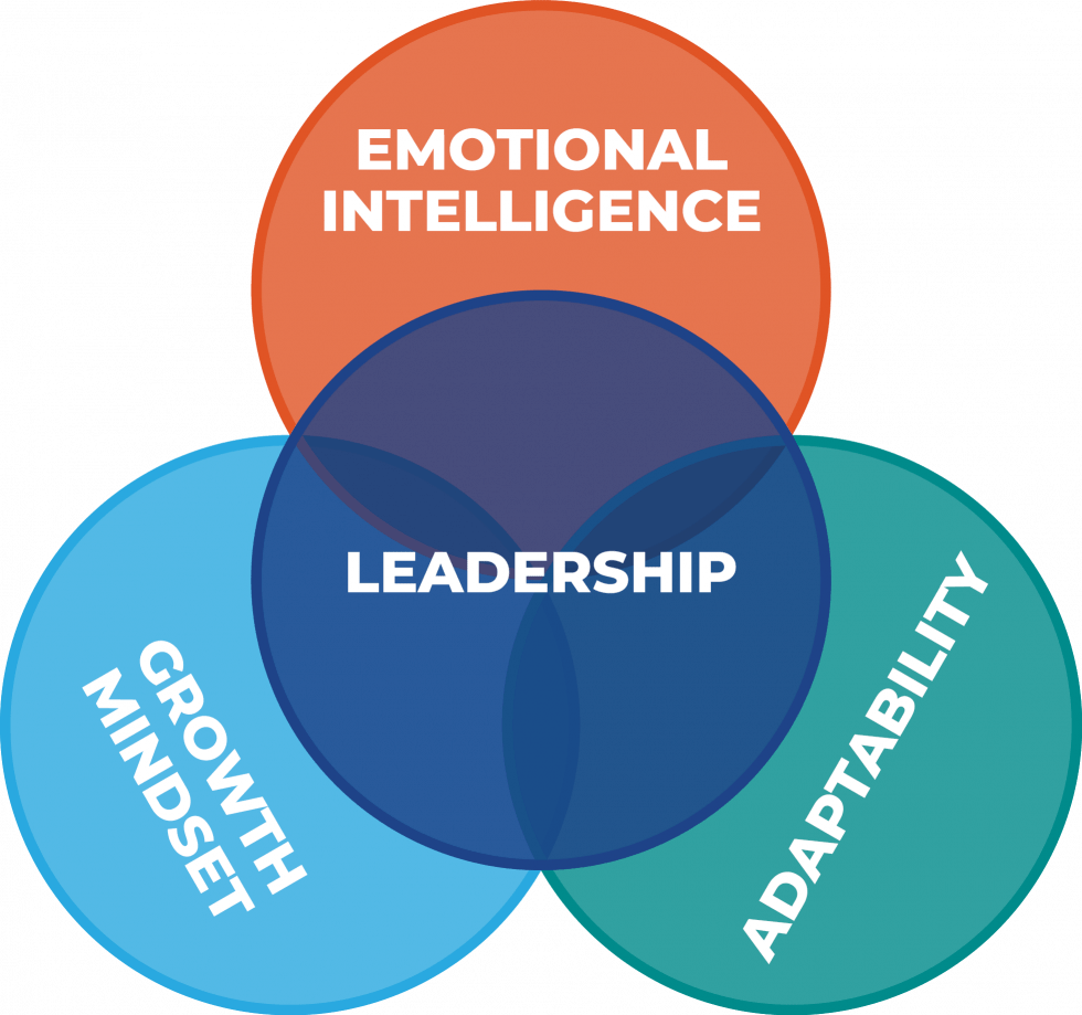Improving Leadership Capacity and Capabilities, Part I A ThreePronged