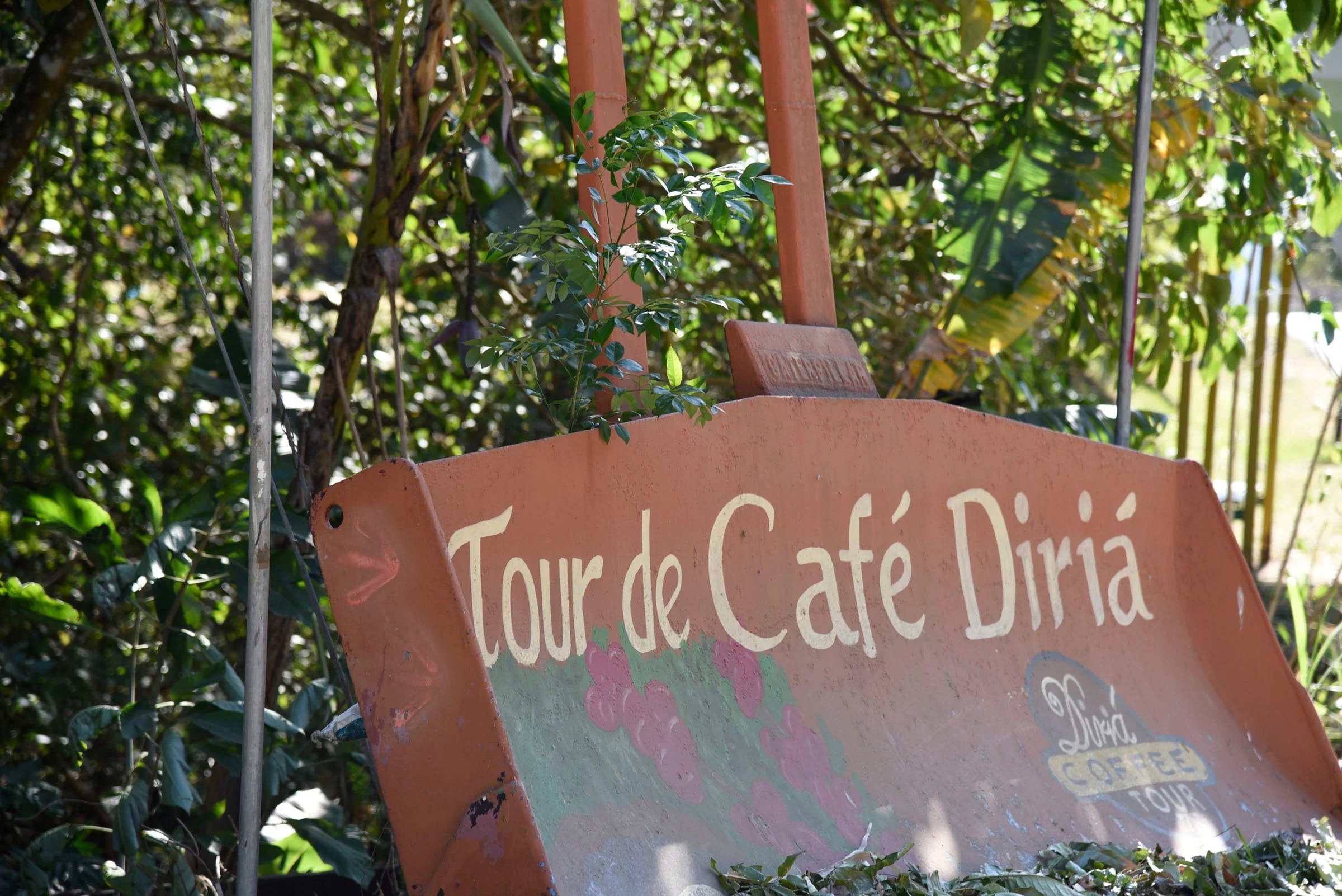 Lost Looking for Coffee Conscious Cup Coffee Roasters