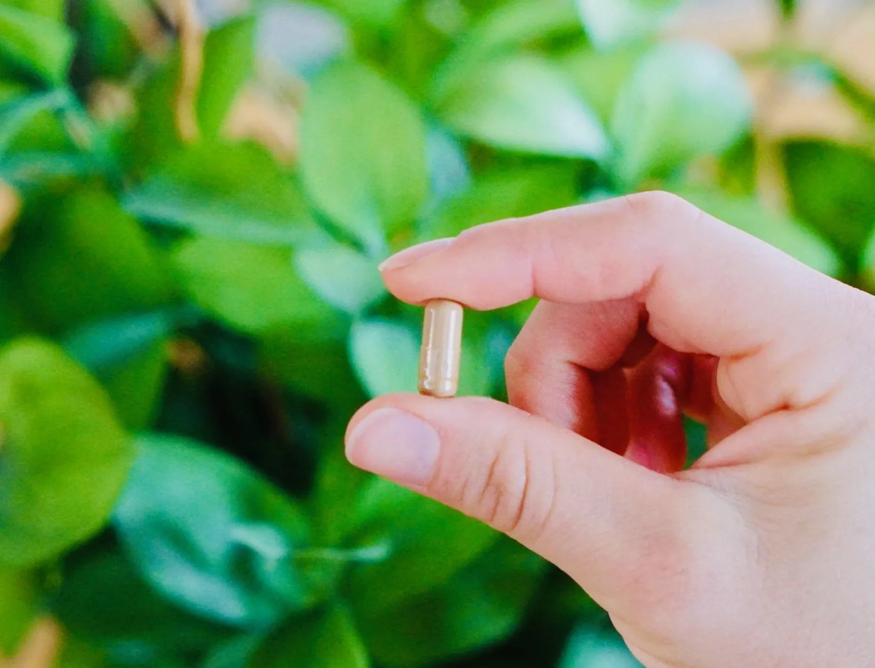 How much Lion's Mane to take Consciously Natural