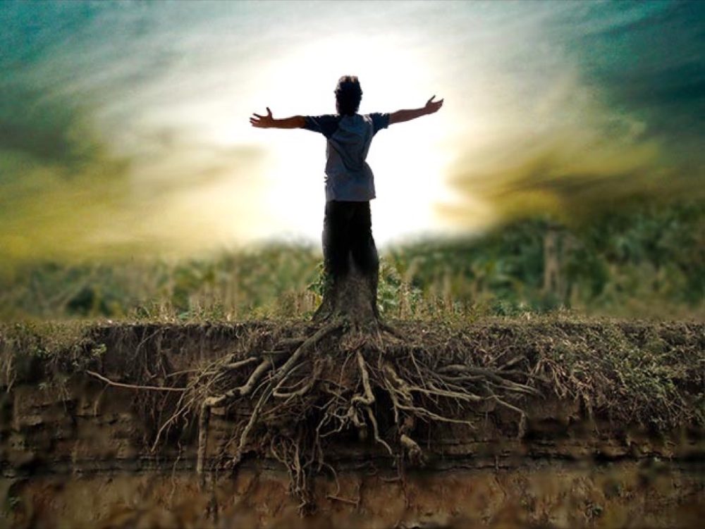 Grounding Planting Your Feet on the Ground Conscious Reminder