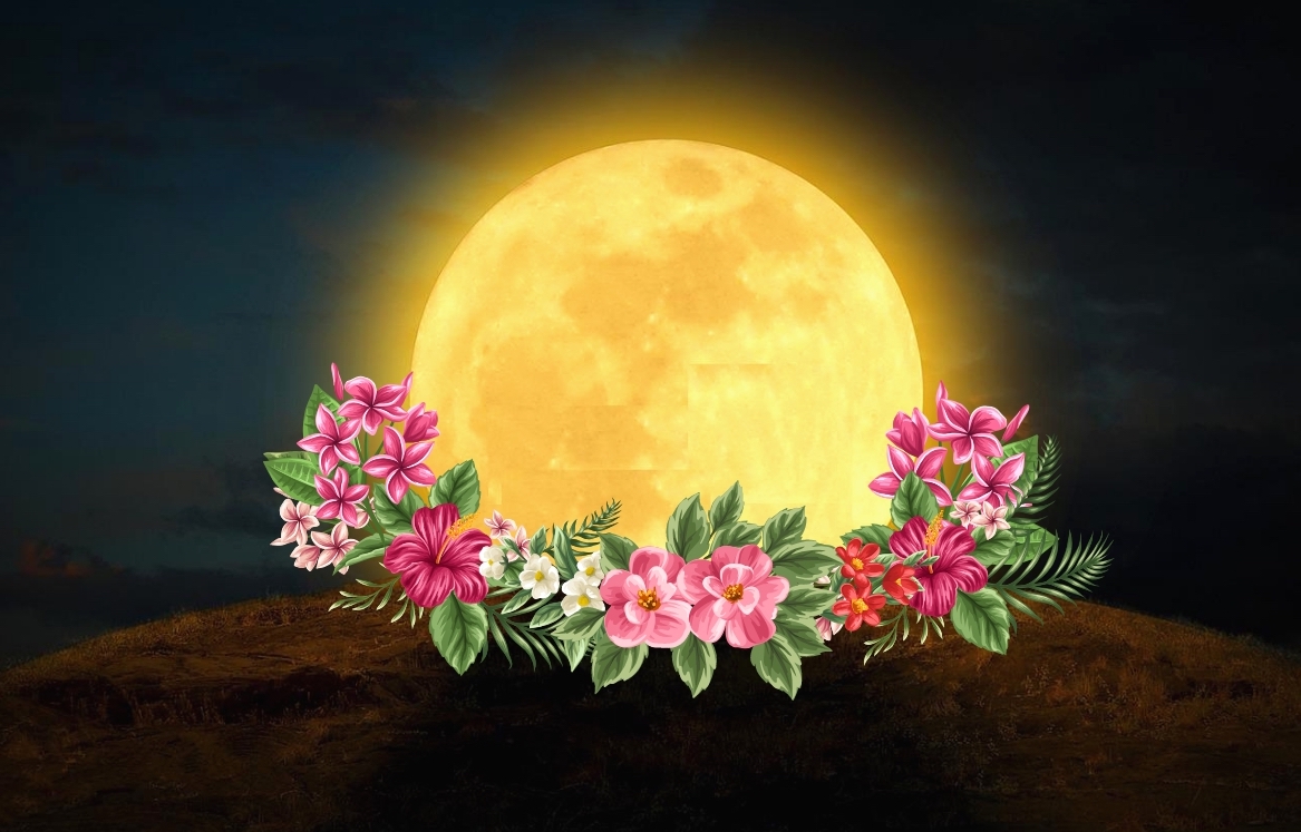 hand lettering alphabet worksheet Are Moon Flowers Illegal Moon