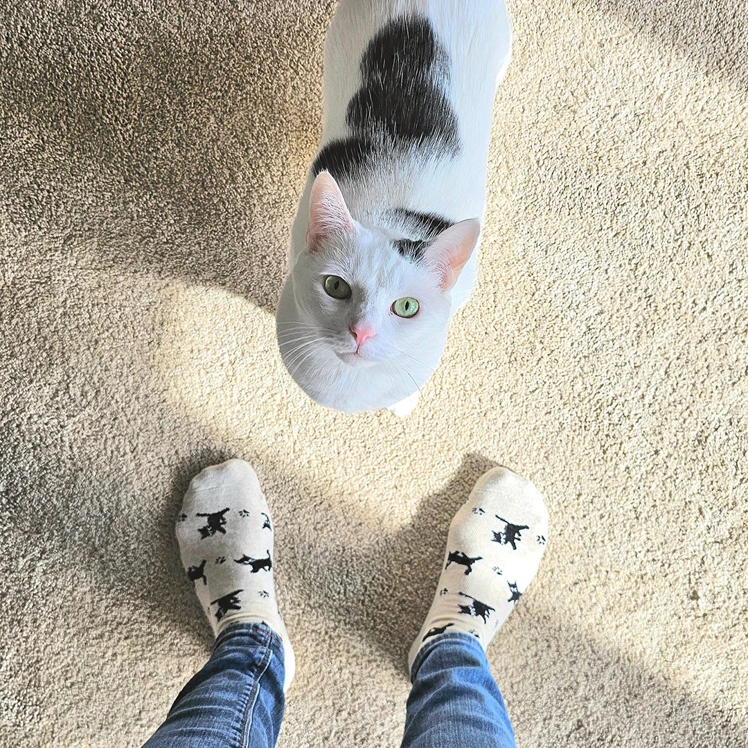 Socks that Save Cats Prancing Paws Eco Friendly Crew Socks