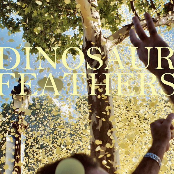 Dinosaur Feathers Tour Dates, Song Releases, and More