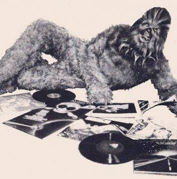 Sasquatch! Music Festival 2015 Festival Outlook