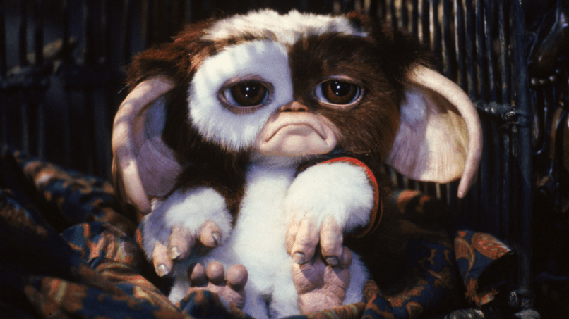 Gizmo and the Gremlins to return for new animated series