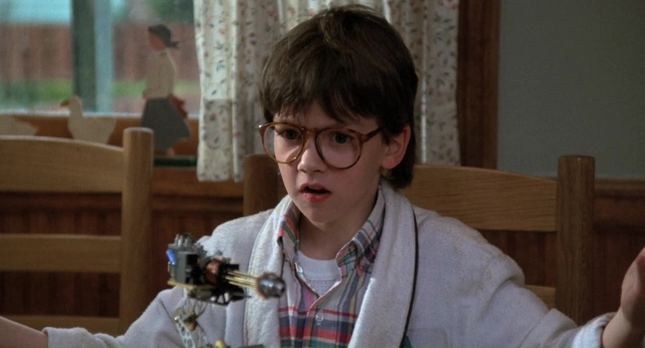 What Ever Happened to the Cast of Honey, I Shrunk the Kids?