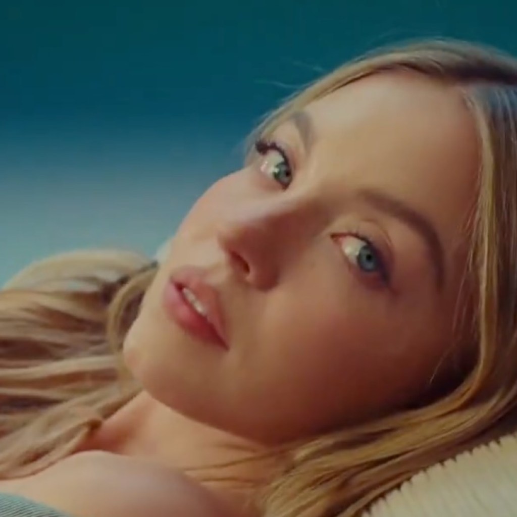 Sydney Sweeney Advert Marketing campaign Boosts American Eagle Inventory by Over 15%