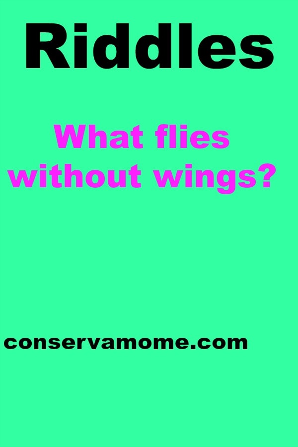 ConservaMom Riddle