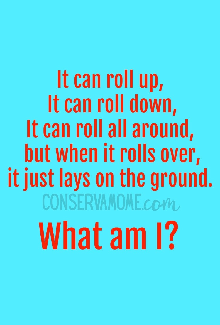 ConservaMom Tricky Brain Teaser To make you Think