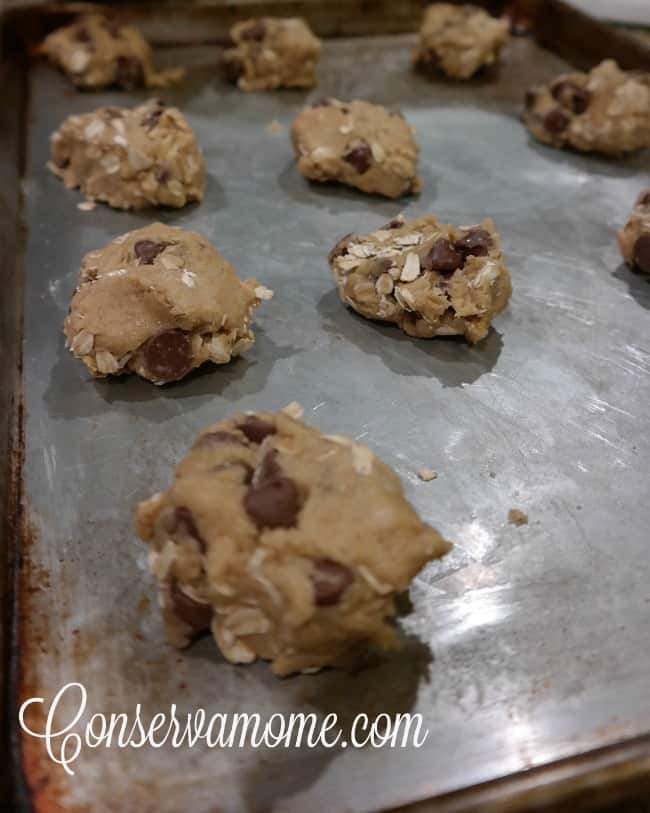 Easy Chocolate Chip Lactation Cookies Help increase Breast Milk