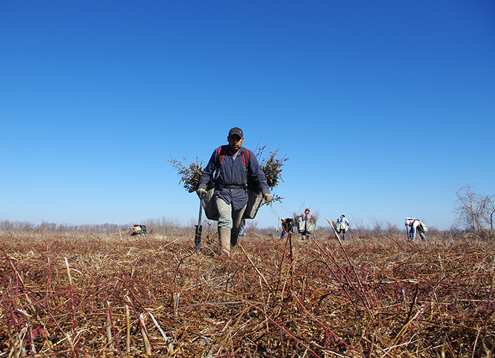 Wetland Reserve Easement Conservation Finance Center