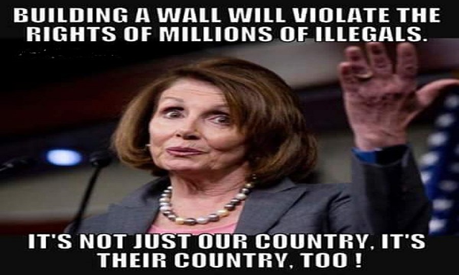Nancy Pelosi Praises Illegal Aliens for Breaking the Law Conservative