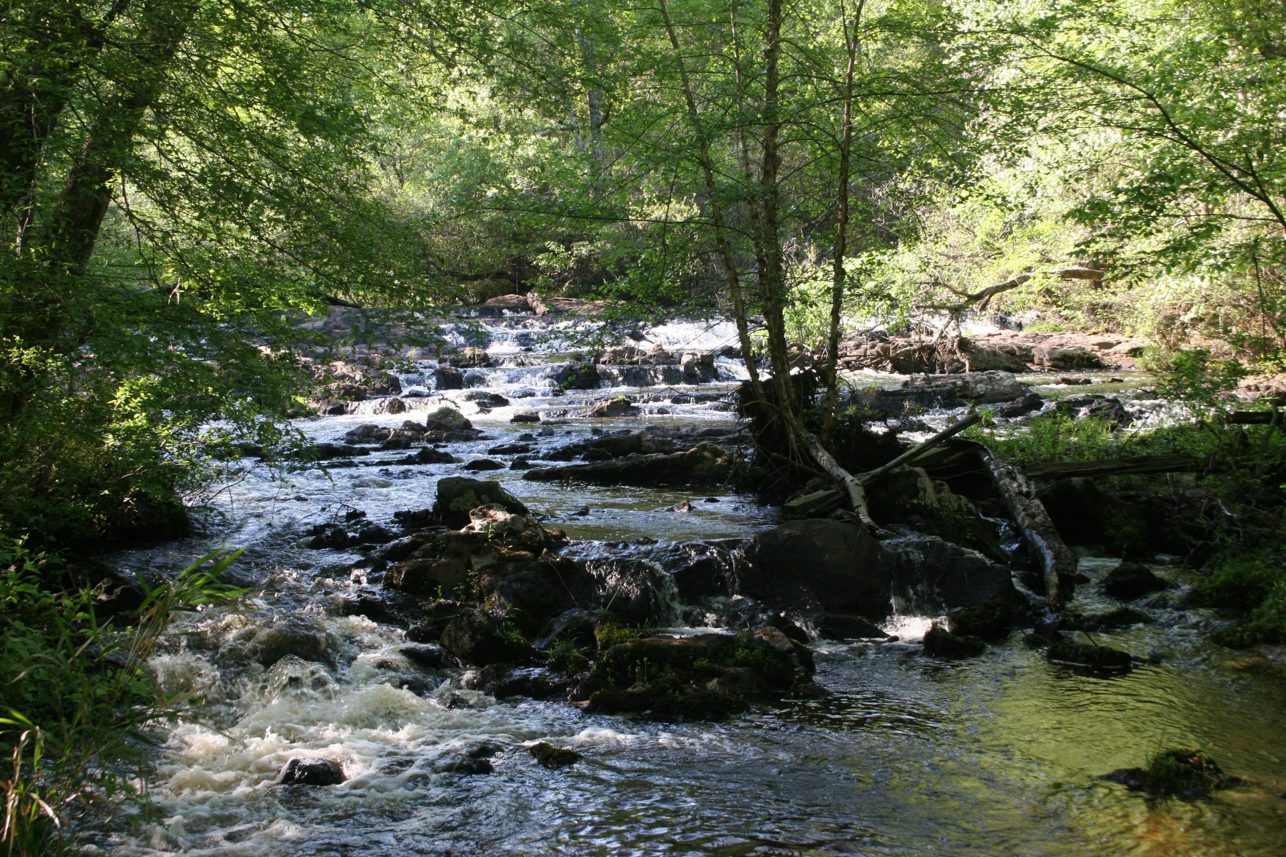 Edisto Farm Reserve Aiken Land Conservancy