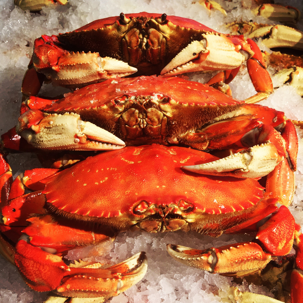 Crabby Politics Risk Coastal Fishing Marine Fish Conservation Network