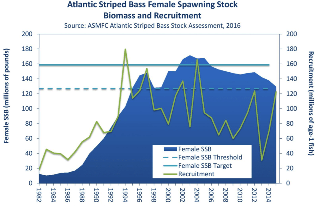 Striped Bass Spawning Chart Marine Fish Conservation Network