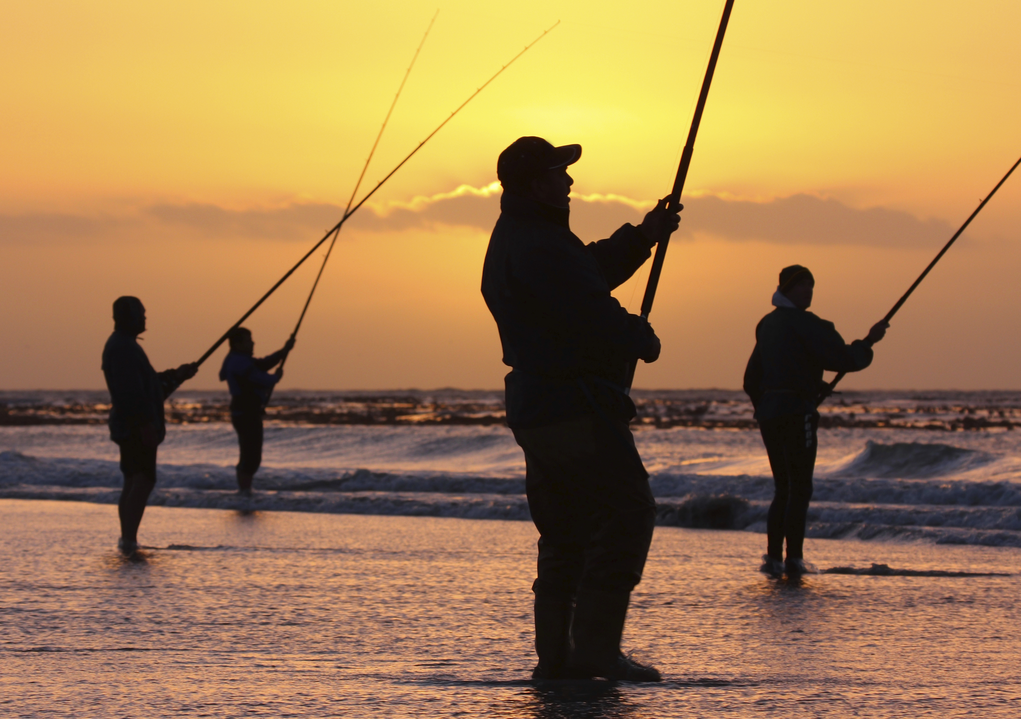  Marine Fish Conservation Network