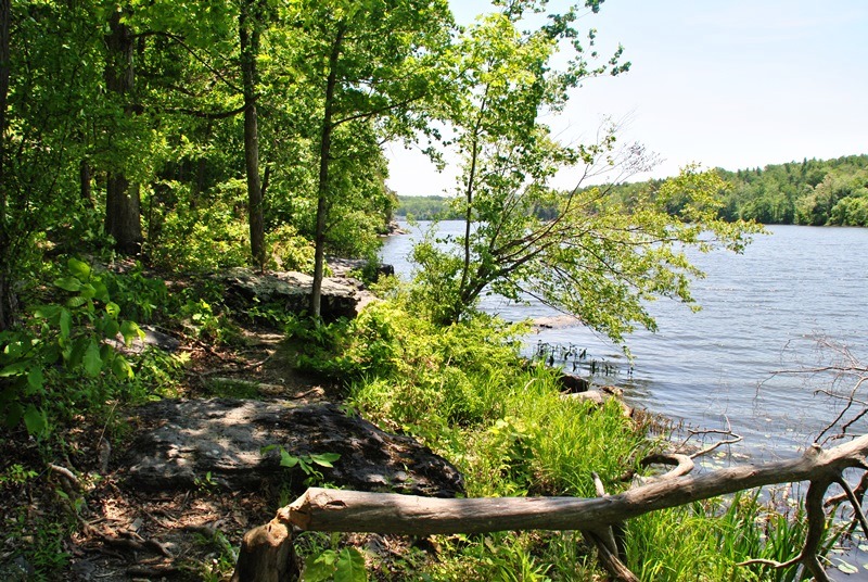 Natural Lands Transfers 59 Acres of Land for Public Use