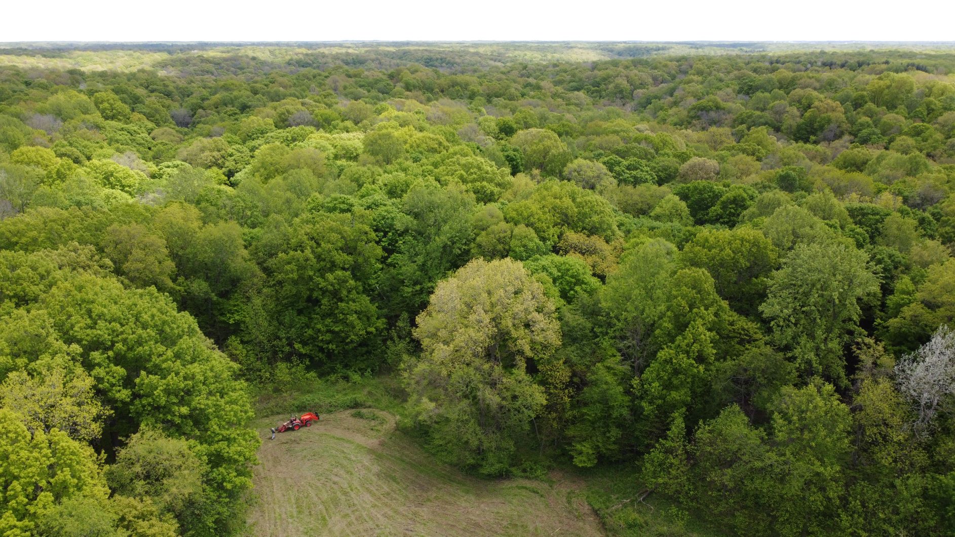 a million trees Central Indiana Land Trust
