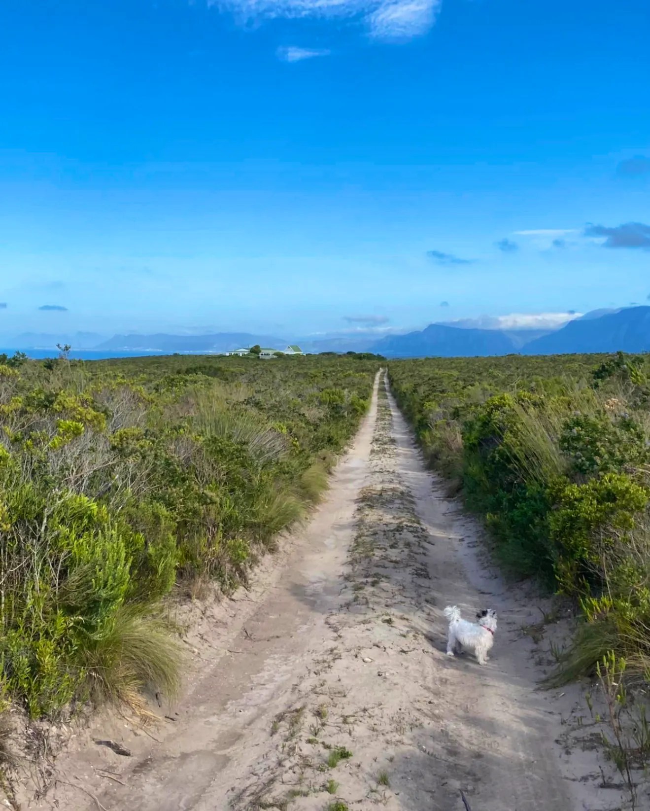 Fairhill Guest House & Nature Reserve A SelfCatering Stay in Gansbaai