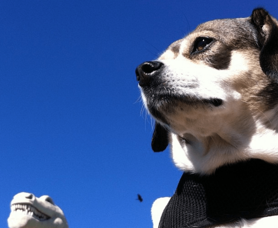 Travel Consider8Content