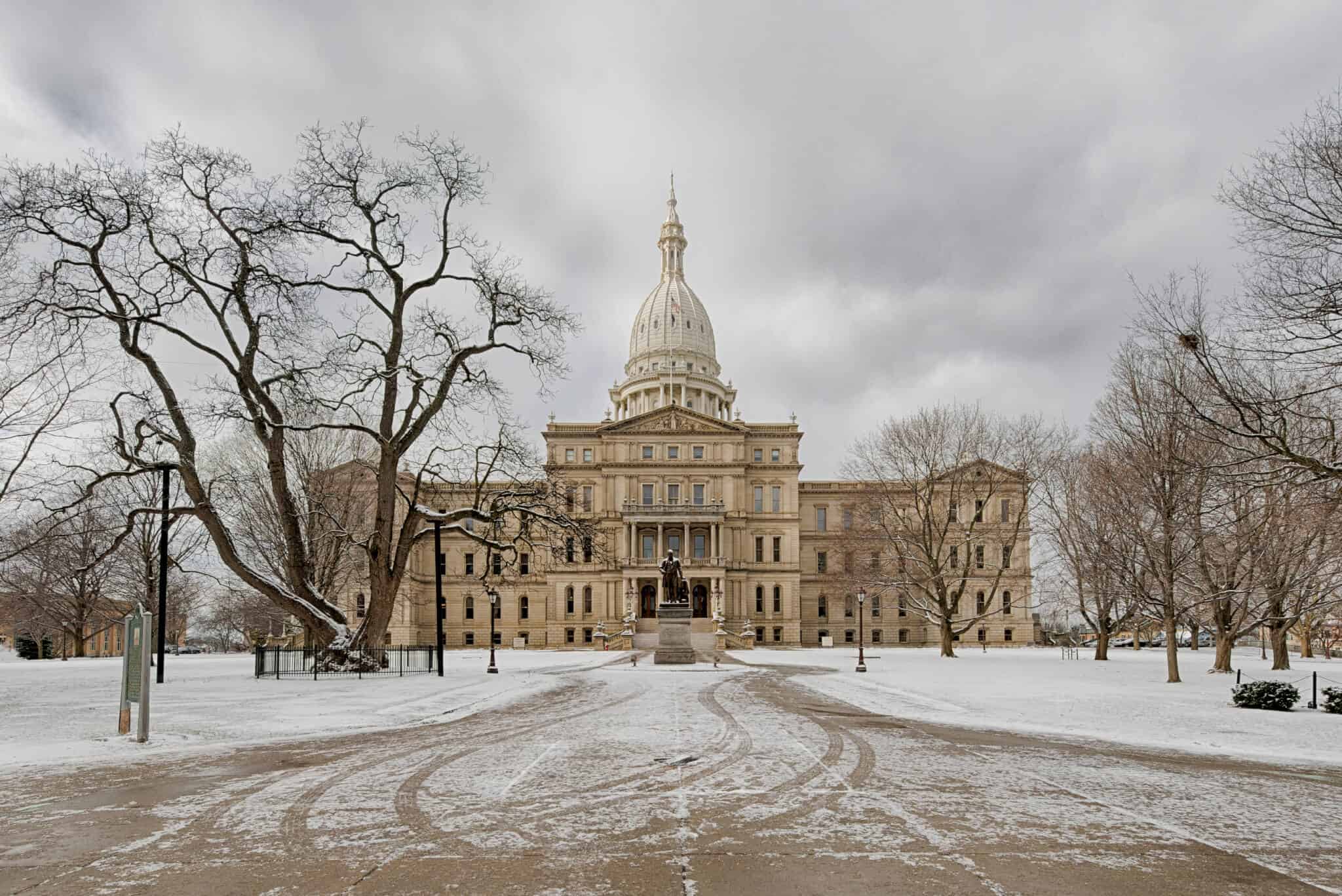 Lansing Adoption Agencies, Foster Care, Home Study Info Considering