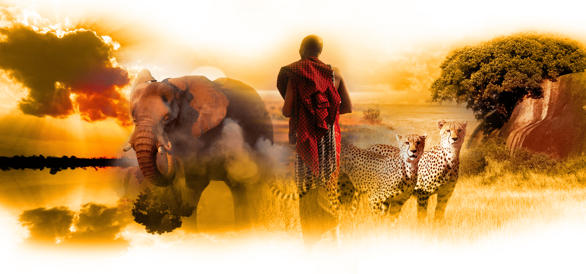 Consilium Escapes Luxury Holiday To Africa, Asia & Europe MICE Events