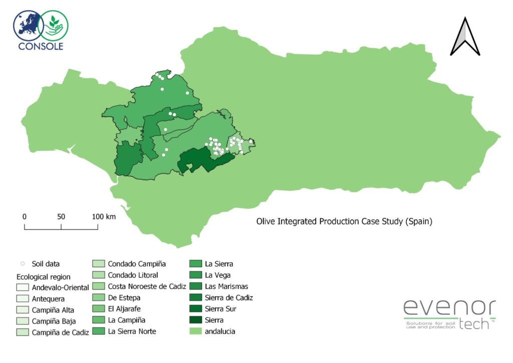 Stanley Plums Bulk Natural Foods Stanley Plums Bulk Natural Foods