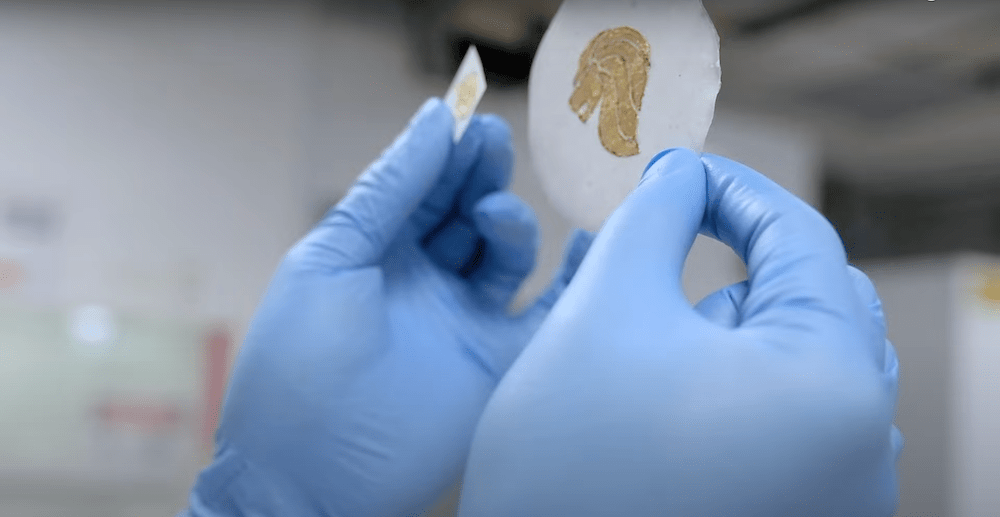 Powering the future Flint's paper batteries offer sustainable way to