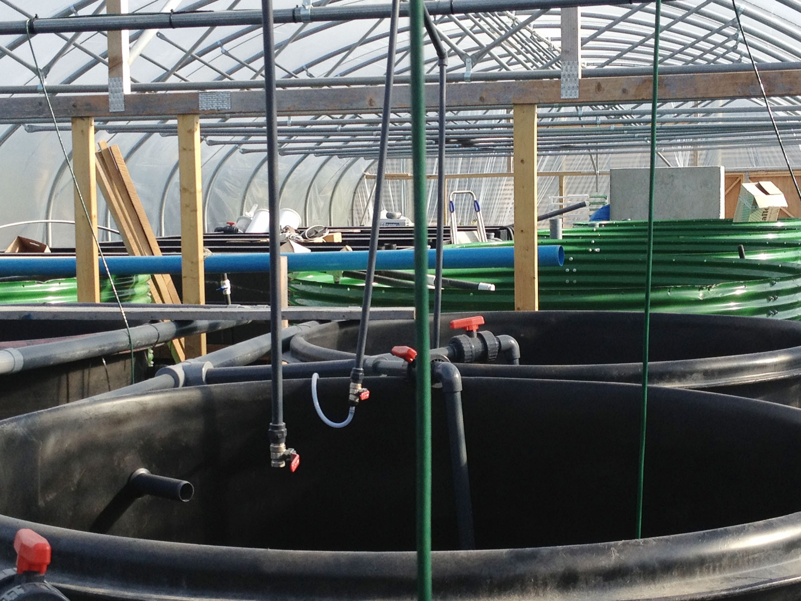 Commercial Developments Consolidated Fisheries Ltd