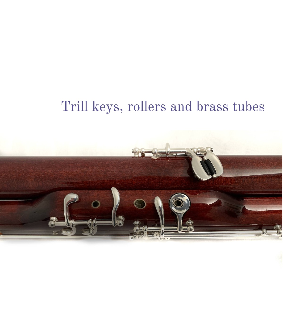 Moosmann Performer Bassoon Consortium Music