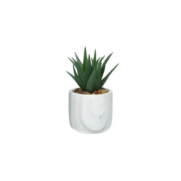 Marble effect pot Aloe Vera Constantia