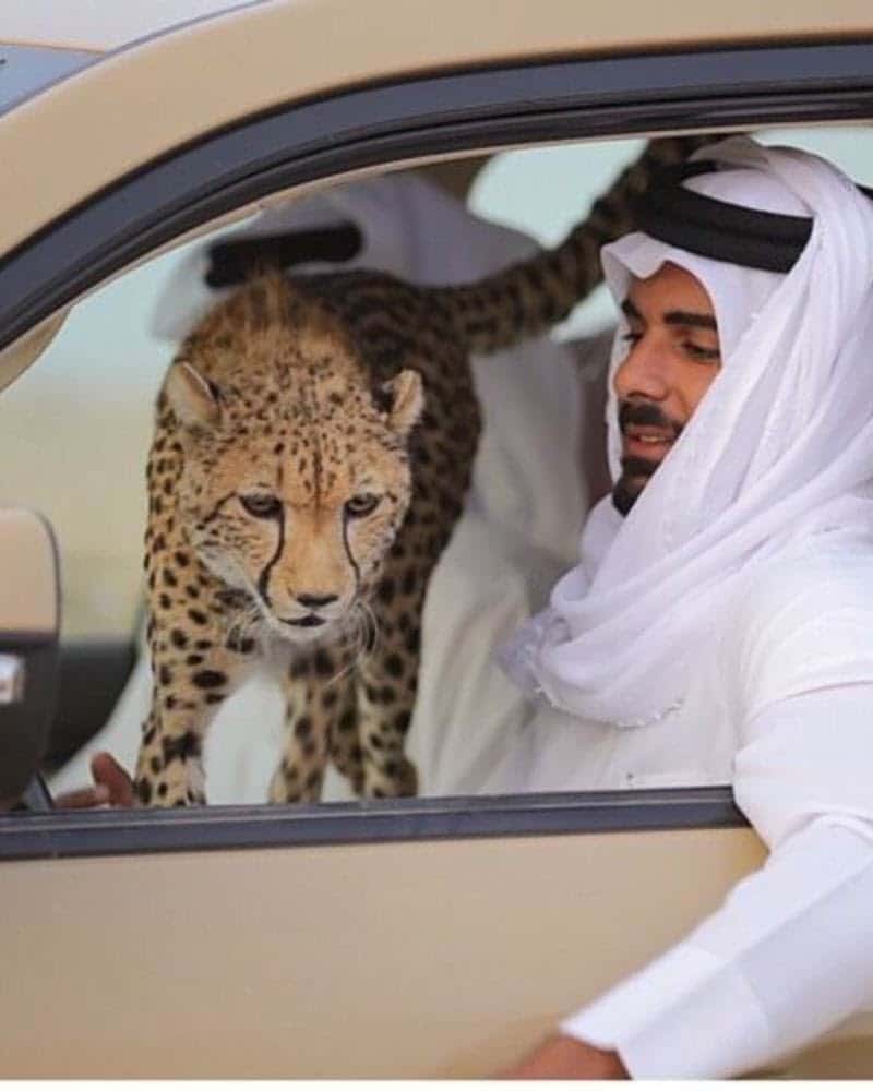 Expats tell what it’s really like to live in Dubai Page 26